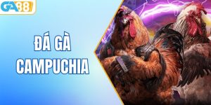 Đá Gà Campuchia Tại GA88 – Hình Thức Cá Cược Đầy Lôi Cuốn