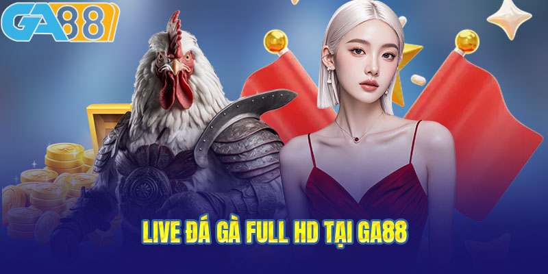 Live đá gà full HD cảm giác hồi hộp từng giây