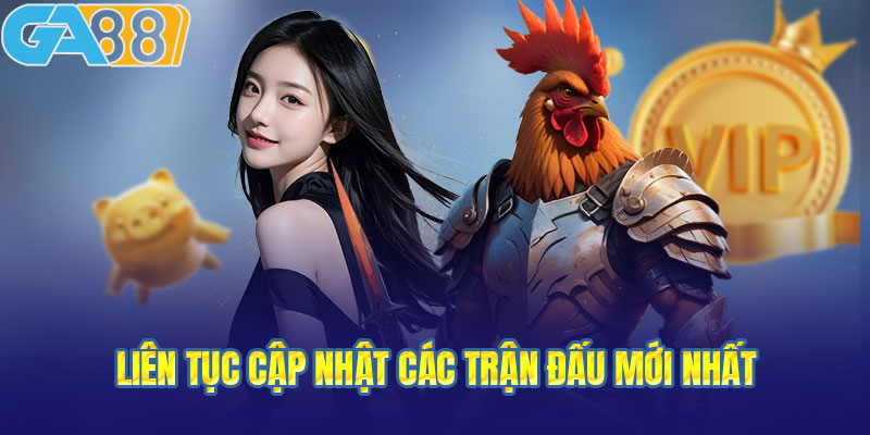Liên tục cập nhật các trận đấu mới nhất