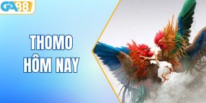 Thomo Hôm Nay GA88: Điểm Đến Giải Trí Trực Tuyến Hàng Đầu